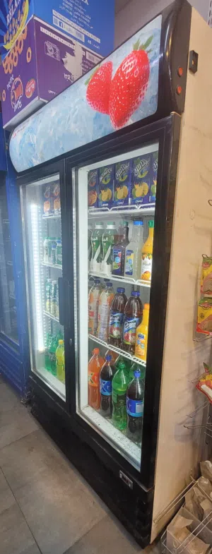 ثلاجة عرض المتخصصة بابين للبيع