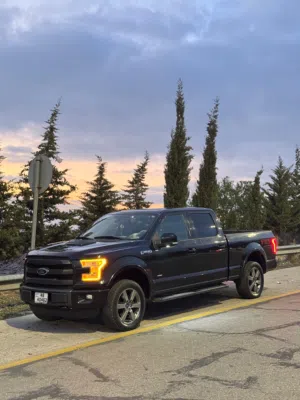Used Ford F-150 in Salt