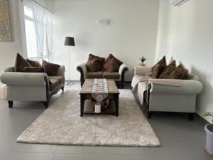 Complete Living Room Set – 3 Sofas, Carpet, Table & Light