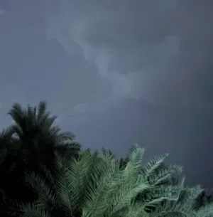 محمد 