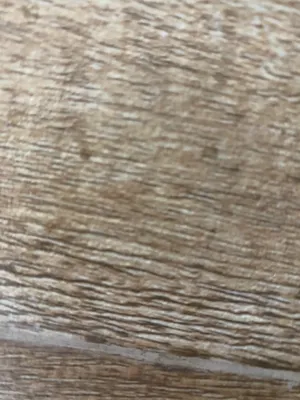 3 Bedrooms . Unfurnished . Yearly1