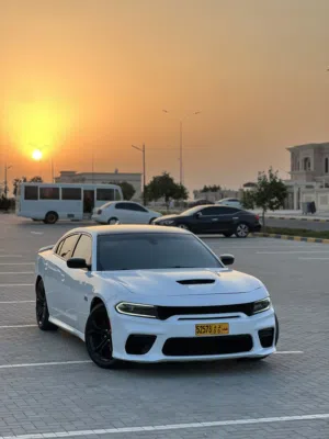 Used Dodge Charger in Muscat
