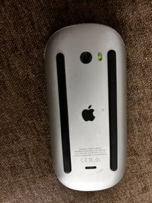 Apple magic mouse