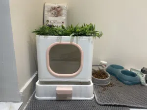 لتر بكس مع جميل اغراضه