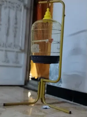 قفص زينه حديد و قوي