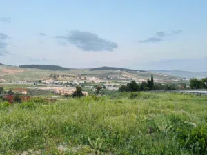 Commercial Land for Sale in Jerash Other