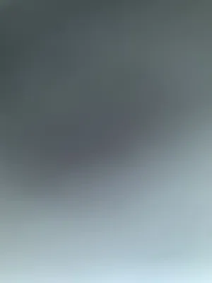 مطلوب طبه او زوج شيرازي