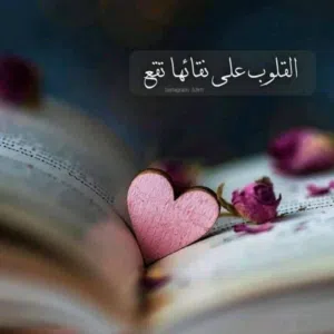 رحال بين قلوب طيبه