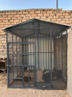 قفصف للبيع مساحه 2×2متر وارتفاع 2متر