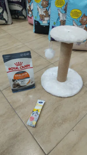 عرض خاص رايكنن هير اند سكن وخداشه ومصاصه فقط