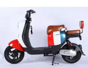 Electric bike