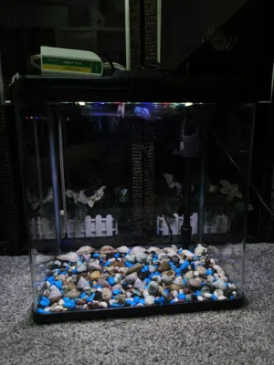 Aquarium 400