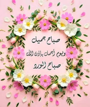 مطلوب شريك تربية حمام