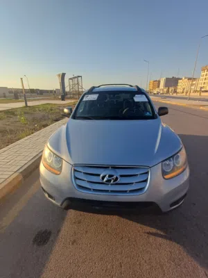 سنتافي توب نظافة جمرك