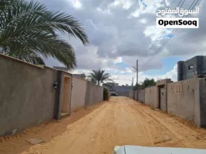قطعة ارض مساحة 565 م2 قريب مدرسة عبدالمنعم رياض