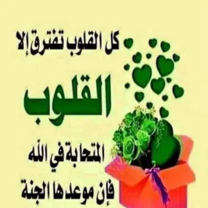 ناصر قويدر