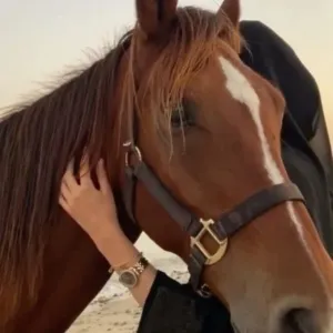 فاطمه سامي علي عياد 