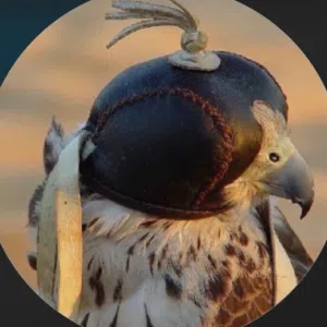 ابو خليل 