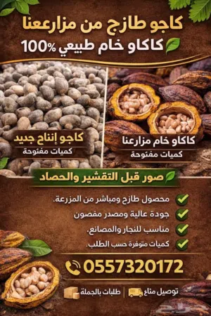 كاجو وكاكاو خام