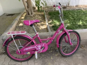 Vintage Charm, Timeless Joy – Classic blue and Pink Bicycle for Your Little Ones