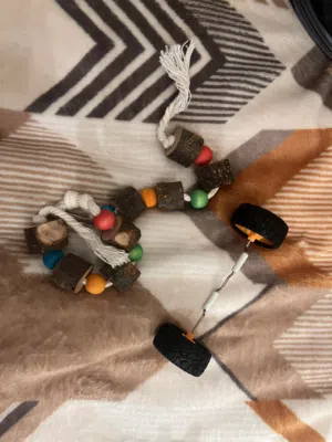 العاب ببغاء