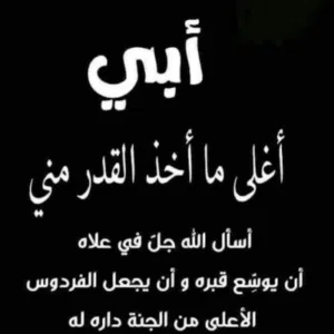 محمد طه الواحدي 