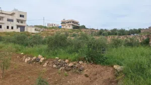 أرض للبيع مباشرة على الشارع
