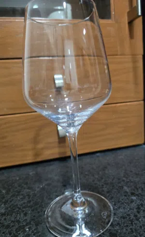 RONA Brand Long Stem Glasses