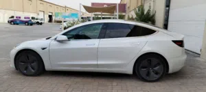 Tesla Model 3 Standard Range Plus 2020