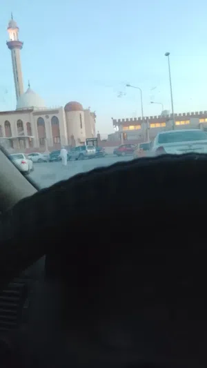 محمد شعبان 