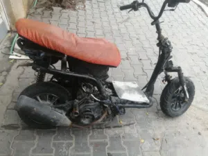 ماكس صيني fs