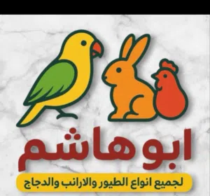 ابو هاشم السيد
