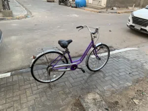 بايسكل سياحي