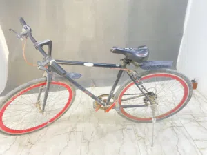 دراجه هوائيه باله