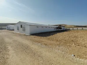 Farm Land for Sale in Mafraq Hayyan Rwaibed