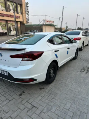 النترا 2019