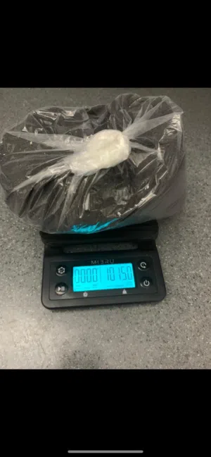 عسيب سرف نفض سليه