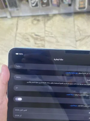 Ipad pro 11 inch m5 256GB