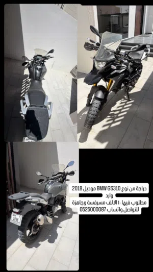 BMW 310 GS - jaban