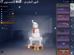 Pubg Accounts and Characters for Sale in Ma'an
