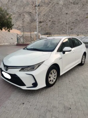2020 Toyota Corolla Hybrid 1.8 litre For Sale