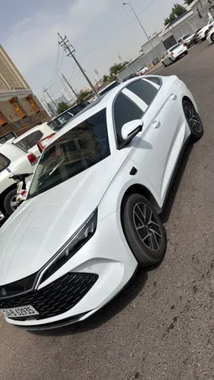 بي واي دي 2025 Q L
