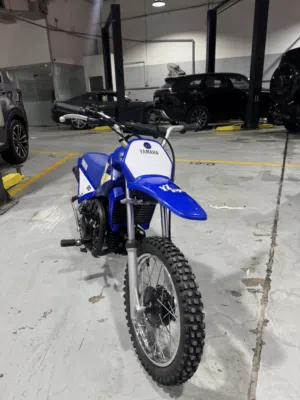 Yamaha pw80  model 2000