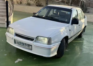 دايو-رايسر-1995-بدها-افرهول