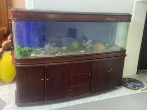 حوض سمك فاخر ثمان نجوم