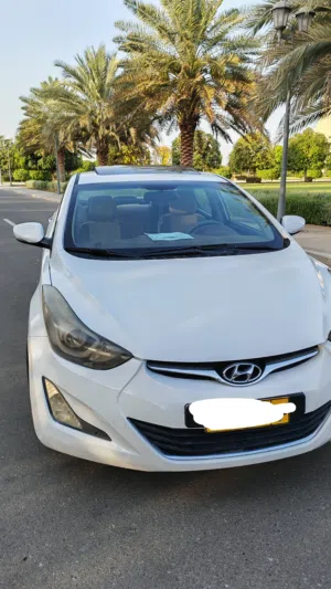 Used Hyundai Elantra in Al Batinah