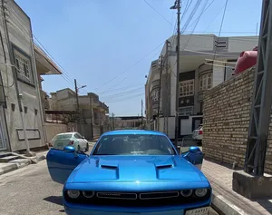 Used Dodge Challenger in Basra