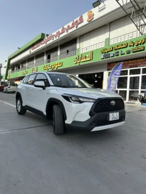كورلا كروس 2025