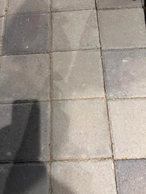 باسكو مستعمل للبيع 20•20