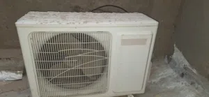 سبلت توسوت